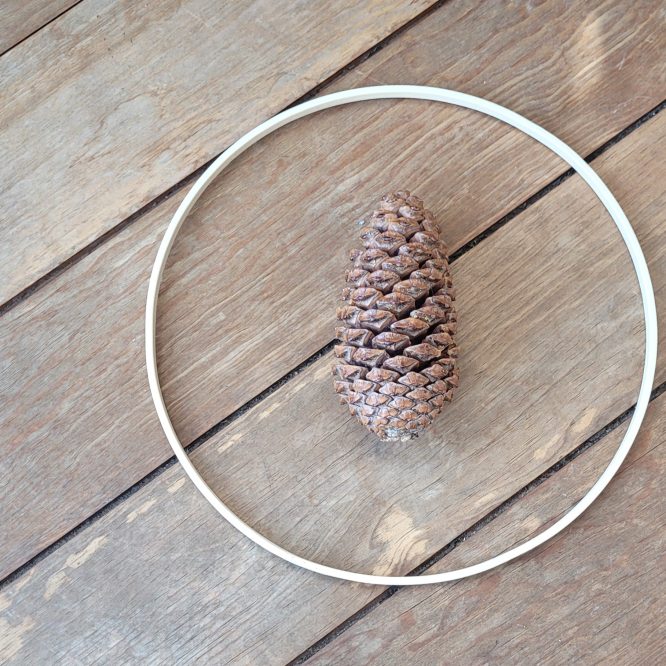 25cm Holzringe